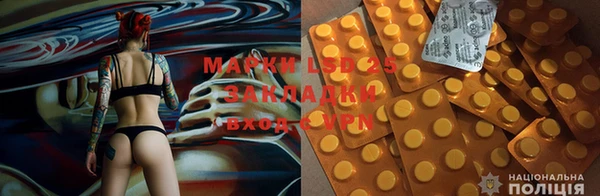 МДПВ Пересвет