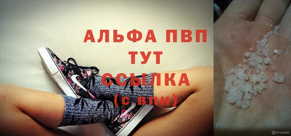 МДПВ Пересвет