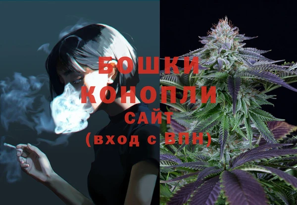 МДПВ Пересвет
