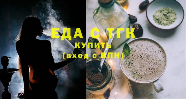 МДПВ Пересвет