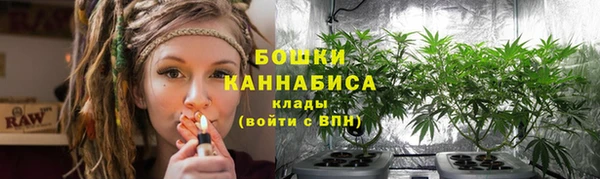 МДПВ Пересвет
