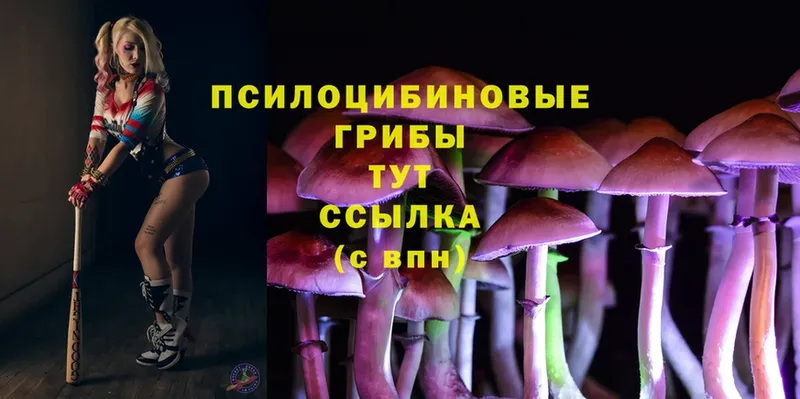 Галлюциногенные грибы MAGIC MUSHROOMS Бабаево